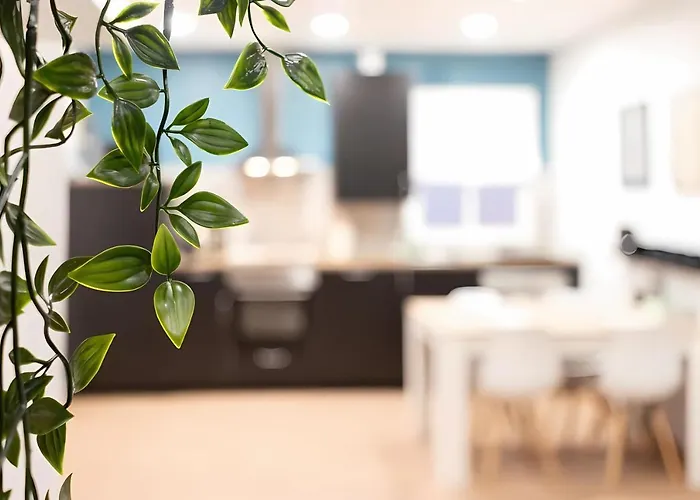 Apartament Urban City *